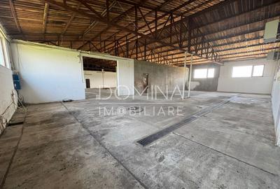 Hala si teren 2,5 ha - infrastructura industriala - 1