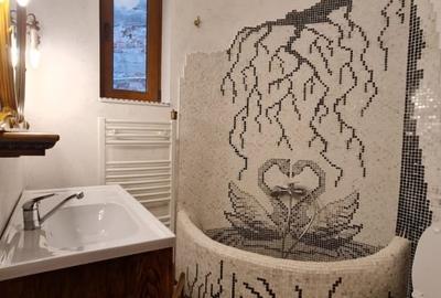 Apartament cu 2 camere semidecomandat, mobilat în Șerban Vodă - 6