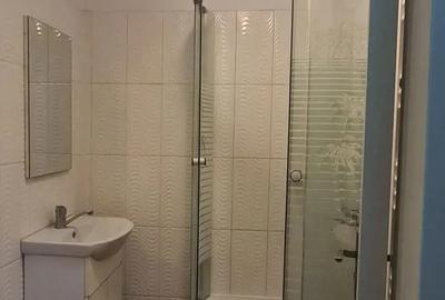 Garsonieră nedecomandată în Ultimul leu - 1