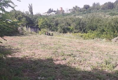 TEREN 985 MP  , MIROSLAVA - 1