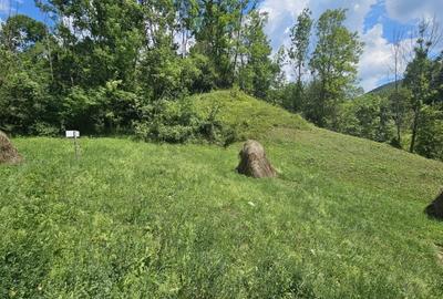 REL4001173 Teren de vanzare in Valea Doftanei - 11
