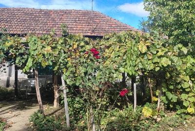 Casa de vanzare in ilovat, mehedinti - 4