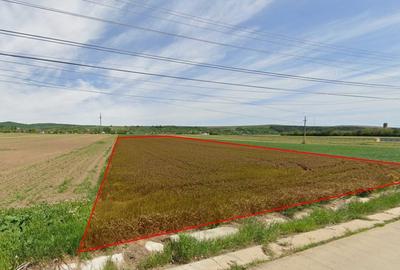 Teren intravilan-arabil / 7200mp / Bodesti, Almas - 1