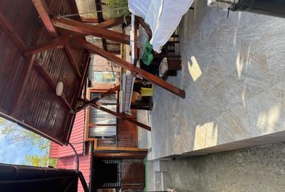 Casa Vladesti ?arina - 11