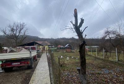 Vand casa in Pestisu Mic - 8