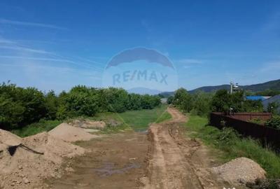 Teren de 11533 mp, în Merișor - 1