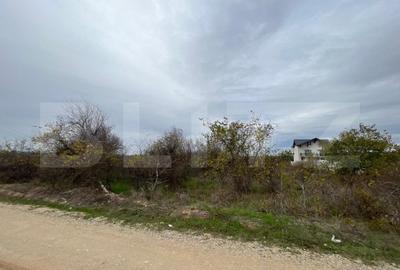 Teren Construcții extravilan de 3000 mp, în Exterior Est - 2