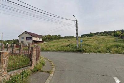Teren de 3000 mp, în Sud