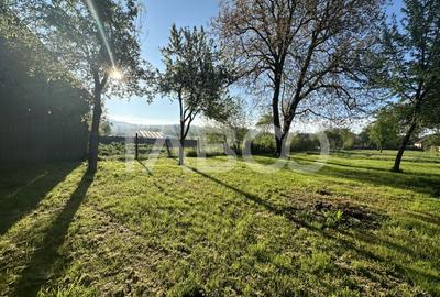 Casa la Tara 3 camere 80 mpu teren 3000 mp Venetia de Sus Fagaras - 13