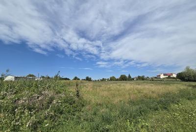 Teren Construcții de 4000 mp, în Traian - 1