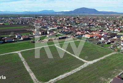 Spațiu comercial, în Hălchiu - 4