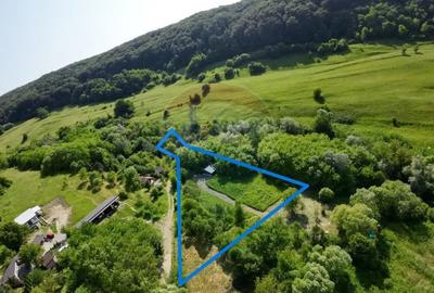 Teren de 5144 mp, în Sighișoara - 4