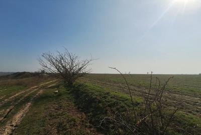 Teren în Bălăceanca - 4