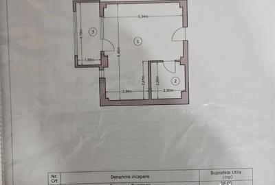 Apartament decomandat în Roșu - 10