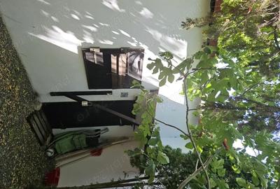 Casă cu 3 camere în Vama Veche - 1