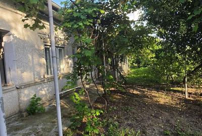 Casă cu 4 camere cu Teren 2200 Mp în Mihai Bravu - 4