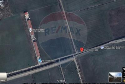 Teren 10,000mp Otopeni / Drumul Garii Odai - 3