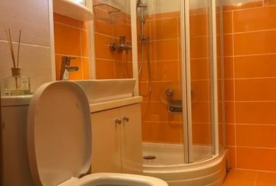 Apartament cu 2 camere semidecomandat în Drumul Taberei - 6