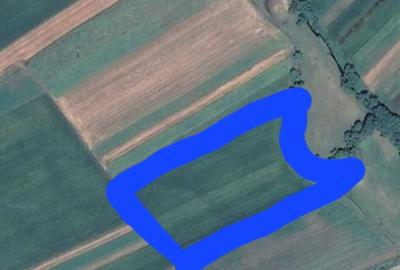 Spațiu comercial, în Rădăuți