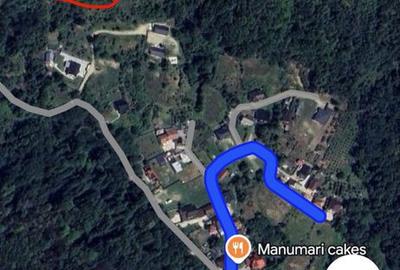 Spațiu comercial, în Valea Ursului - 4