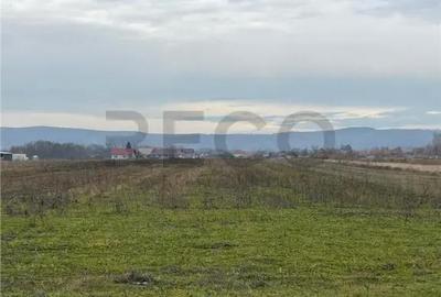 Teren de 550 mp, în Oșorhei - 4