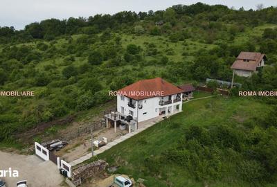 Casă cu 5 camere cu Teren 800 Mp în Valea Borcutului - 7