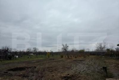 Casă cu 3 camere cu Teren 2745 Mp în Central - 5