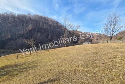 Teren de 4681 mp, în Bărăști - 16