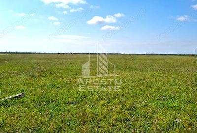 Teren de 31297 mp, în Vladimirescu