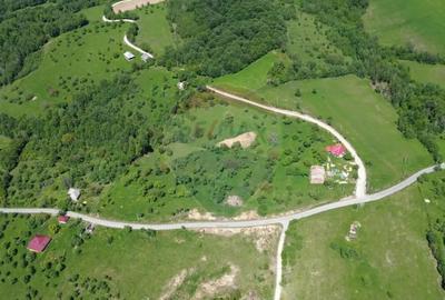 Teren de 12700 mp, în Codru Butesii - 5