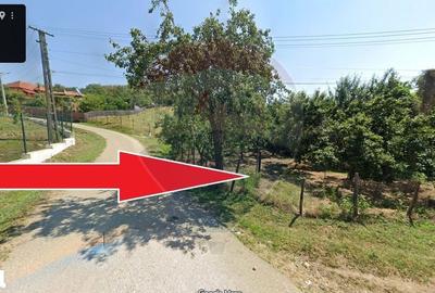 Teren de 1736 mp, în Bogați - 5