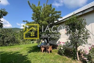 Casa cu 1690 mp teren, vie pe rod, comuna Sarata, jud. Bacau - 12