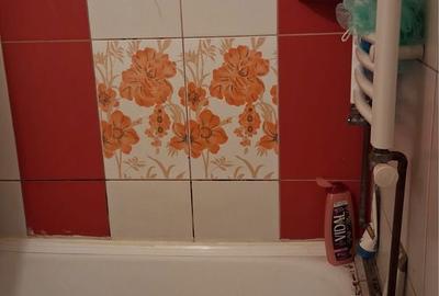 Garsonieră în Sud - 4