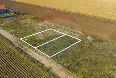 Teren de 650 mp, în Nord - 2