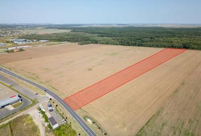 Teren de 21500 mp, în Brănești - 2