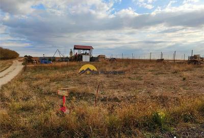 Vidra ,teren intravilan - 6