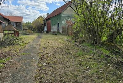Casă cu 3 camere cu Teren 3863 Mp în Batiz - 9