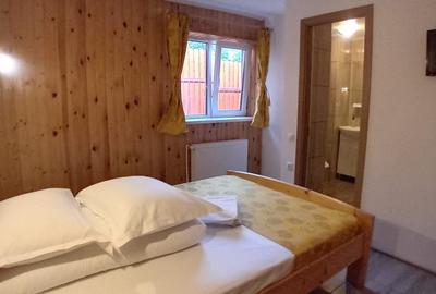 Casă cochetă de vânzare, 4 camere, Stațiunea Azuga - 16