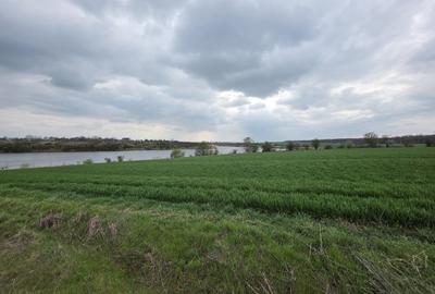 Balta pescuit, peisaj de vis,  padure-lac, investitie garantata - 1