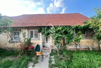 Casa veche in Recas cu teren generos de 1438 mp - 2