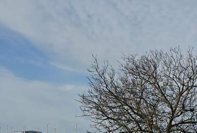 Teren de vanzare in Agigea zona DN 38 - 3