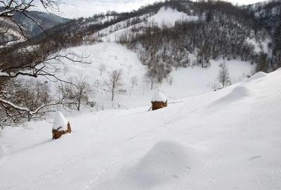 Casă cu 4 camere cu Teren 1170 Mp în Poiana Stampei - 2