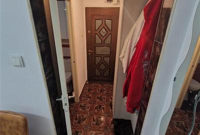 Apartament cu 2 camere semidecomandat, mobilat în Șagului - 20