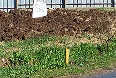 Teren în Dascălu - 6