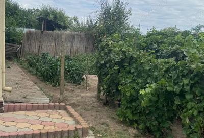 Casa cu pod mansardabil, 20 km de Delta Dunarii - 3