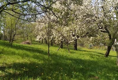 Teren de 2500 mp, în Pietriceaua - 3