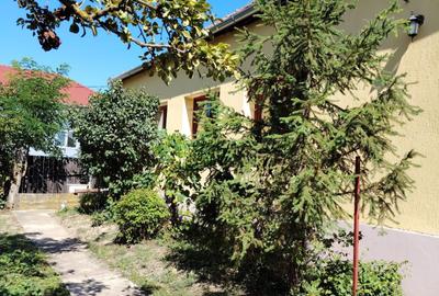 Casă cu 2 camere în Răbăgani - 1
