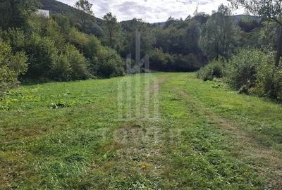 Teren Intravilan de Vanzare 3622 mp Rau Sadului - 5