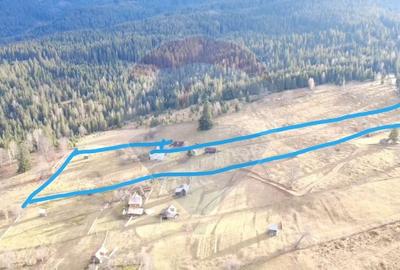 Teren Construcții intravilan de 26238 mp, în Dorna-Arini - 2