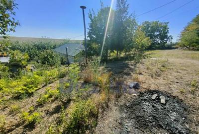 Casă cu 4 camere cu Teren 6400 Mp în Hărpășești - 5